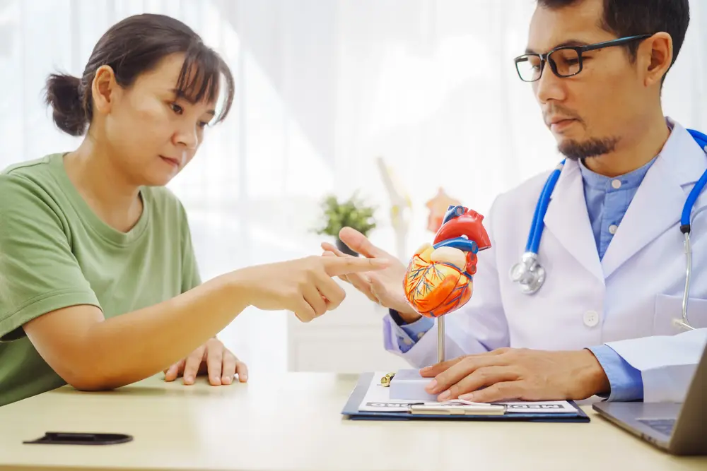 Cardiologist explaining heart artery blockage using heart model during patient consultation