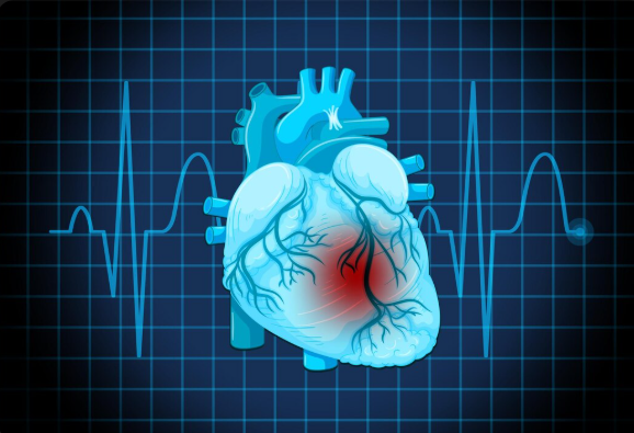 Kondisi jantung yang berdetak secara normal